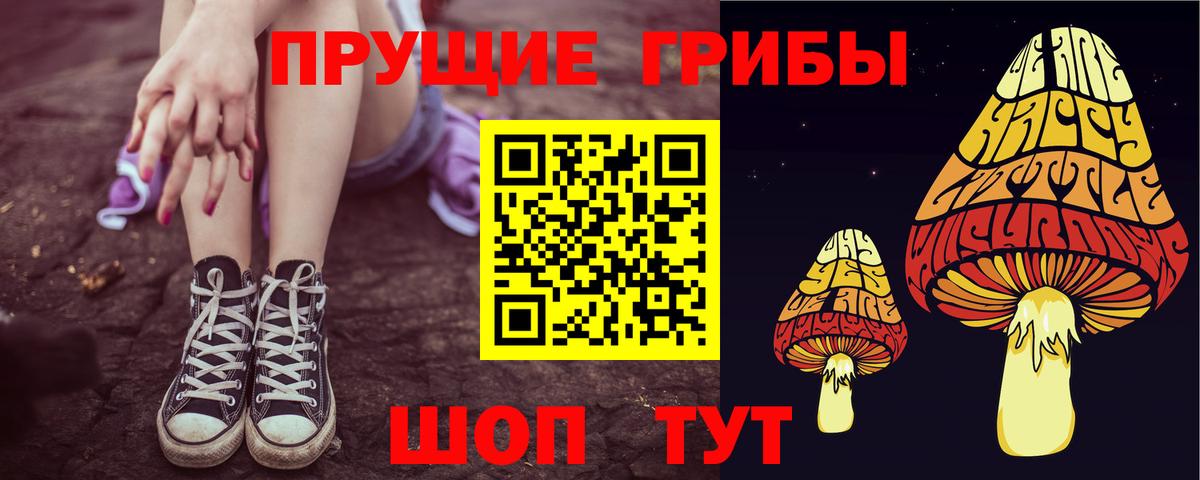 Псилоцибиновые грибы Psilocybe  Вход с VPN  Кирово-Чепецк  Галлюциногенные грибы Magic Shrooms 